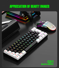 Thumbnail for TGW USB RGB Kit